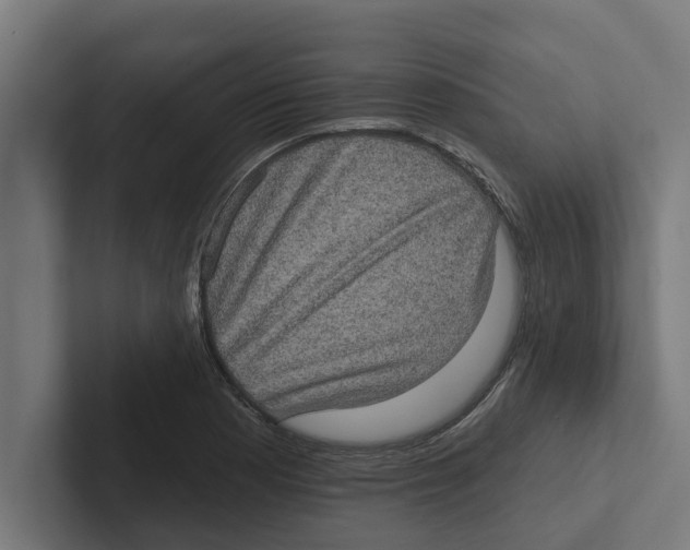 X0000102291177200808221351