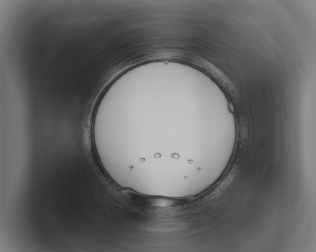 X0000102291178200808221351