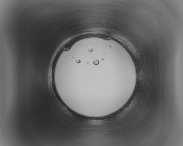 X0000102291180200808221351