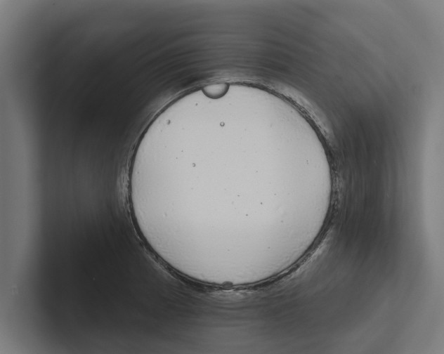 X0000102291185200808221351