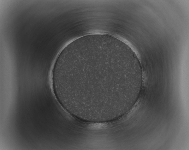 X0000102291187200808221351