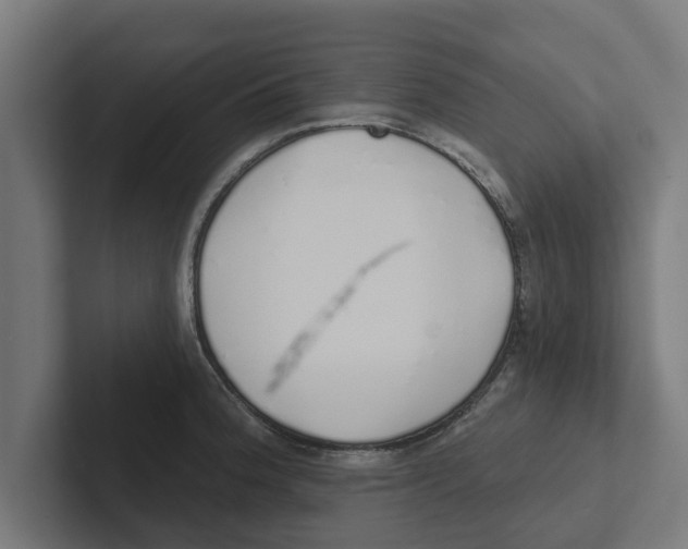 X0000102291188200808221351