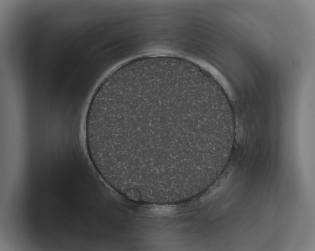 X0000102291191200808221351