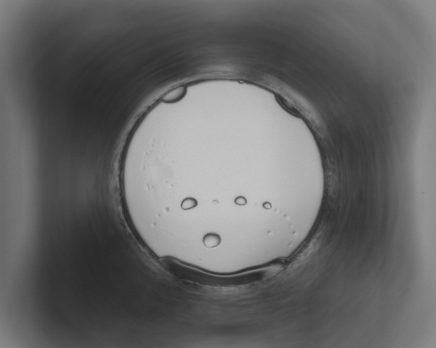 X0000102291192200808221351