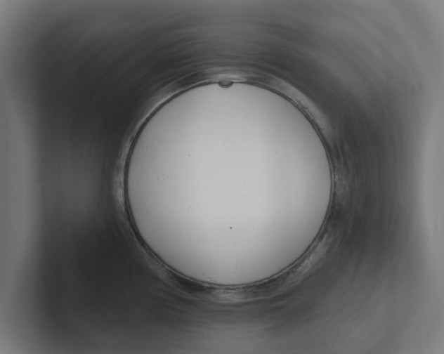 X0000102291194200808221351