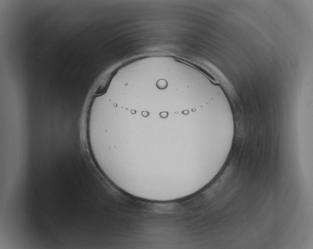 X0000102291196200808221351