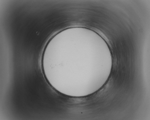 X0000102291197200808221351