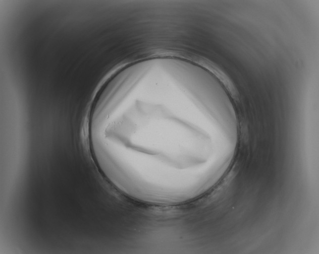 X0000102291198200808221351