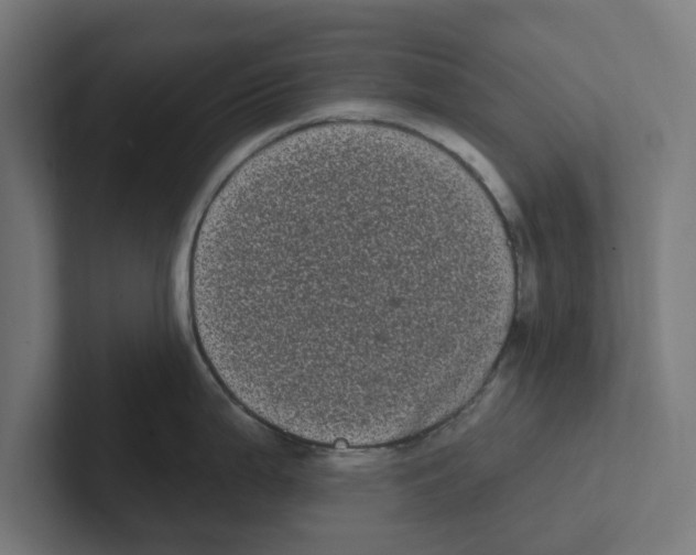 X0000102291199200808221351