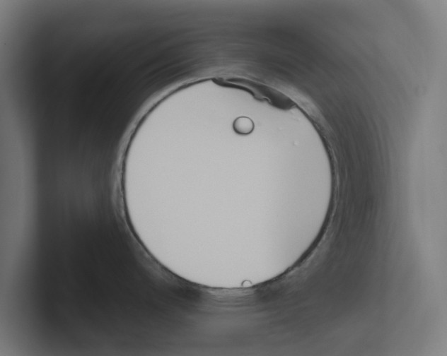 X0000102291200200808221351