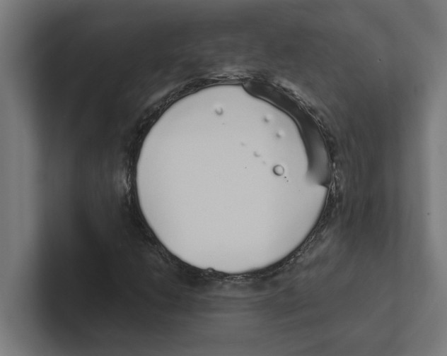 X0000102291206200808221350