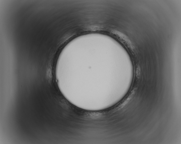 X0000102291209200808221350