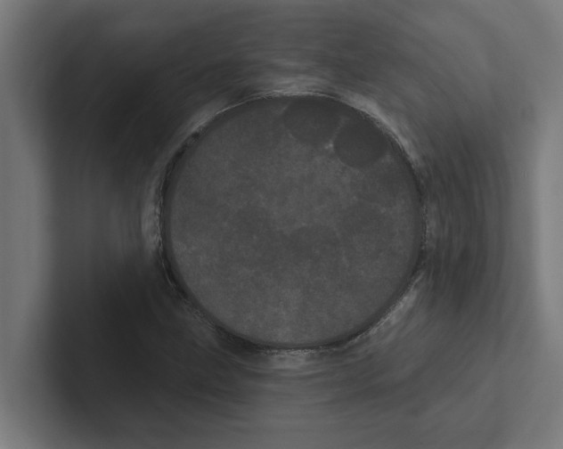 X0000102291211200808221350