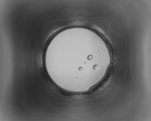 X0000102291214200808221350