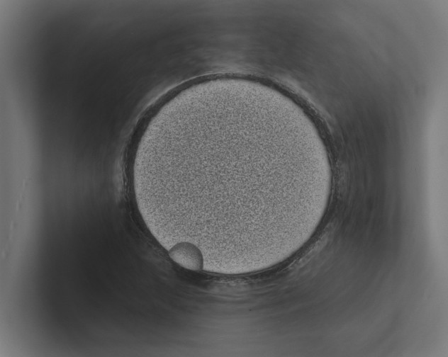 X0000102291215200808221350