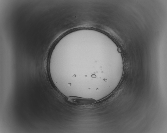 X0000102291216200808221350