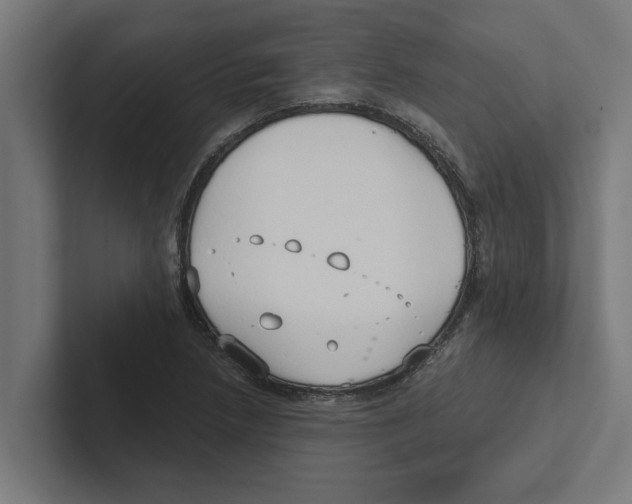 X0000102291218200808221350