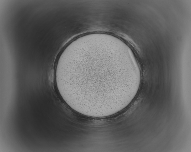 X0000102291220200808221350