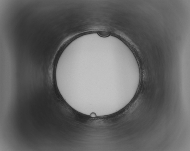 X0000102291222200808221350