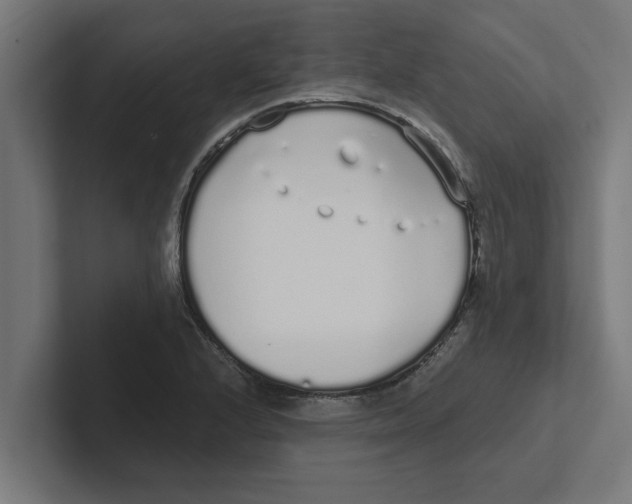 X0000102291224200808221350