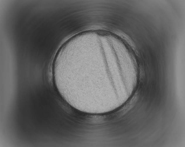 X0000102291226200808221350