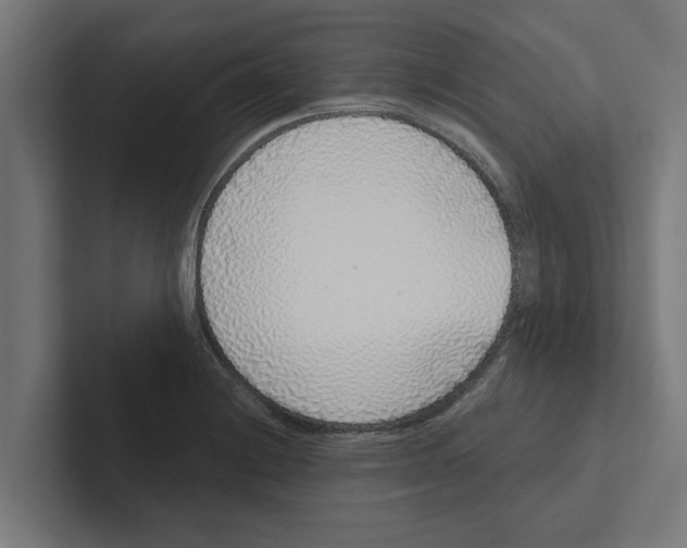 X0000102291228200808221350