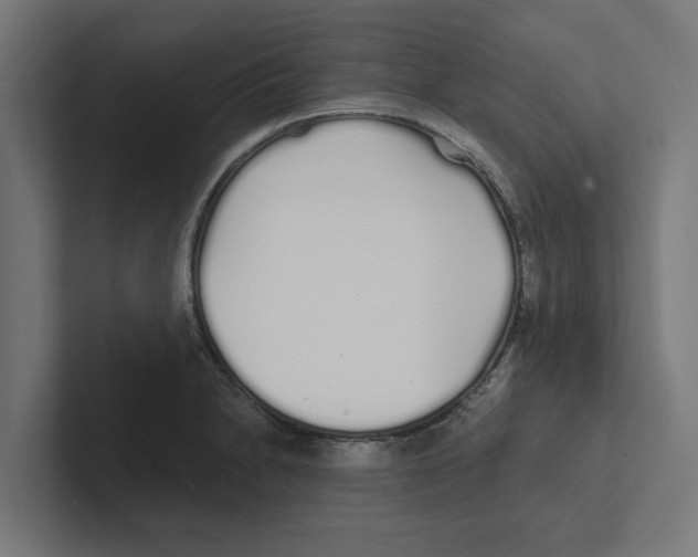 X0000102291230200808221350