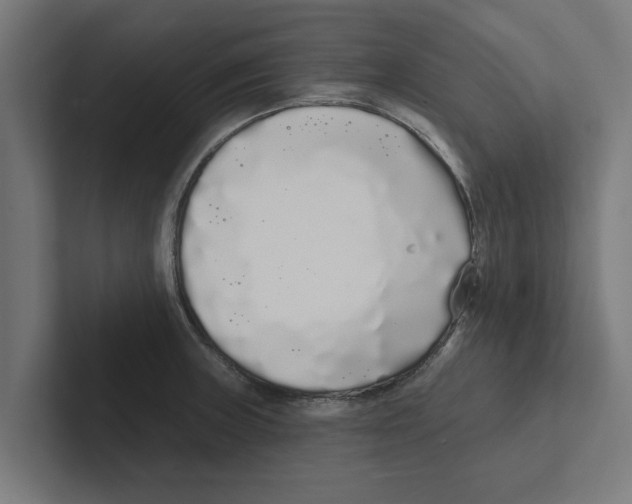 X0000102291235200808221350