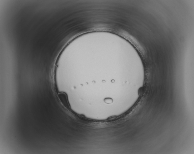 X0000102291236200808221350