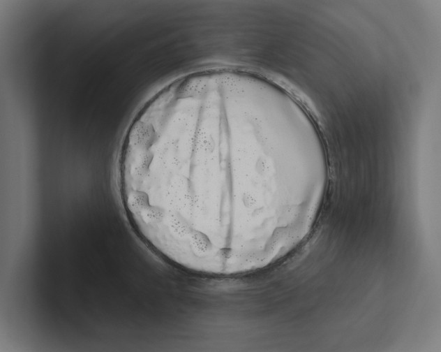 X0000102291239200808221350