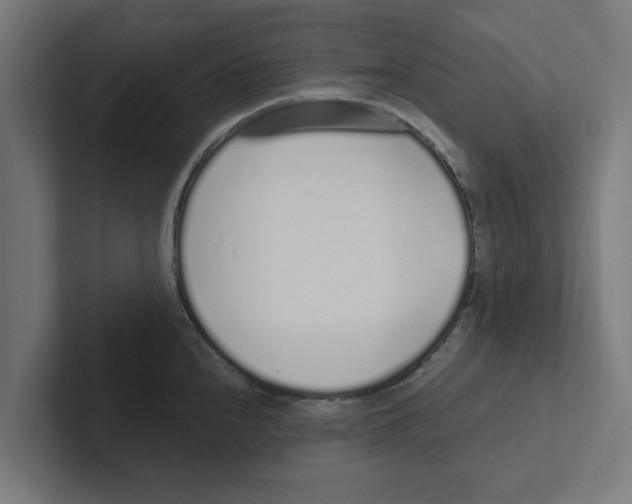 X0000102291240200808221350