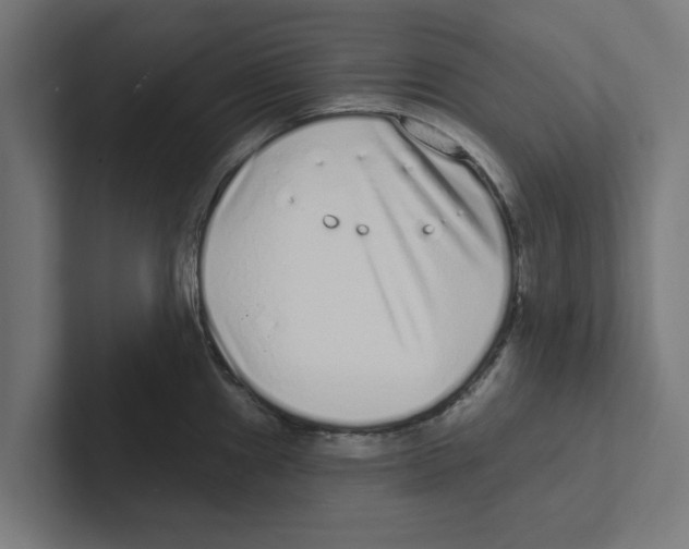 X0000102291241200808221350