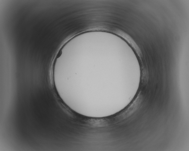 X0000102291242200808221350