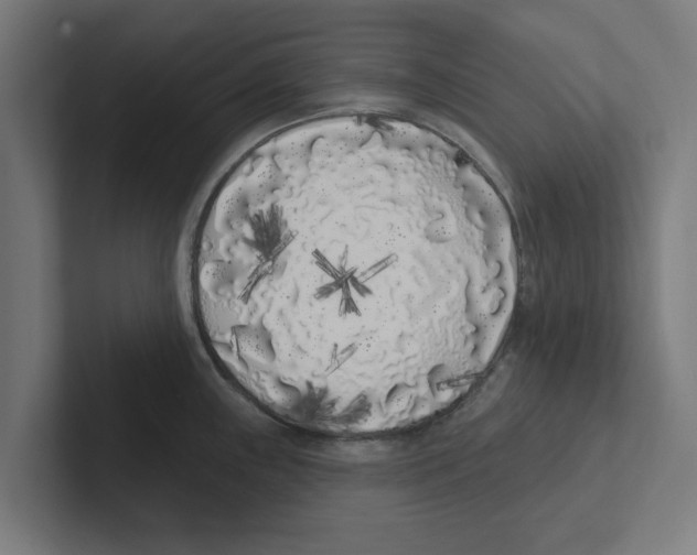 X0000102291243200808221350