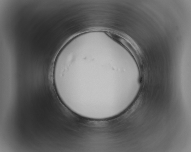 X0000102291244200808221350