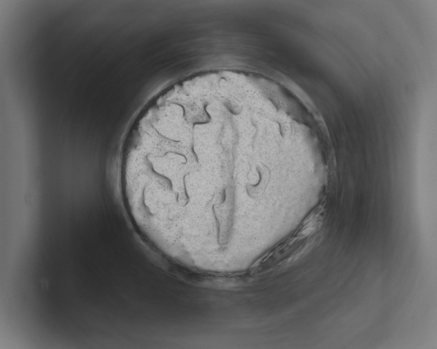 X0000102291245200808221351