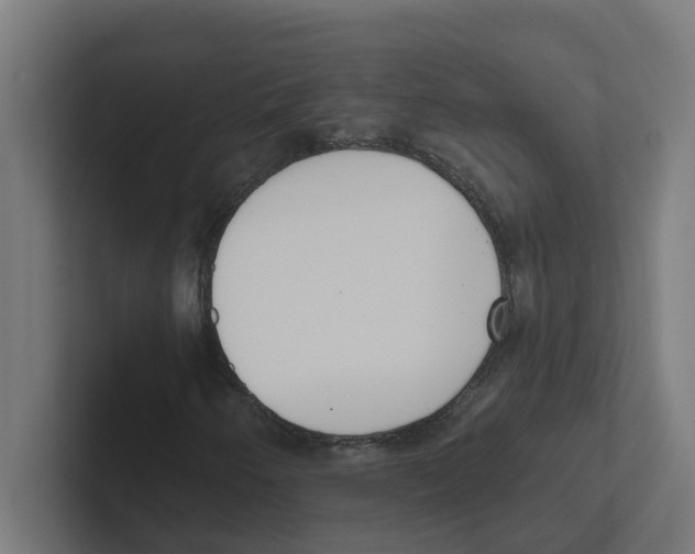 X0000102291250200808221350