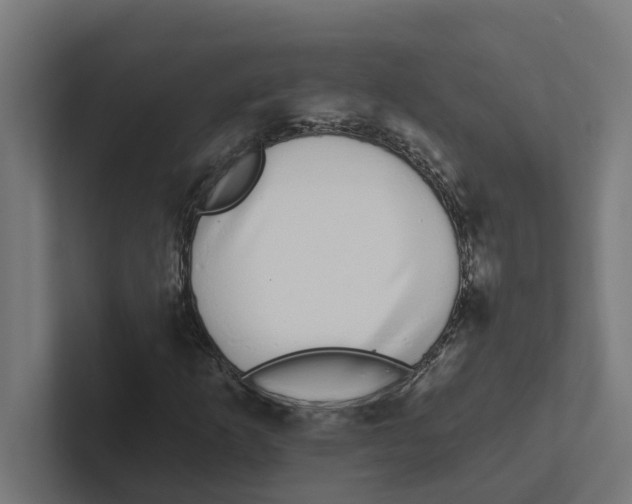 X0000102291253200808221350