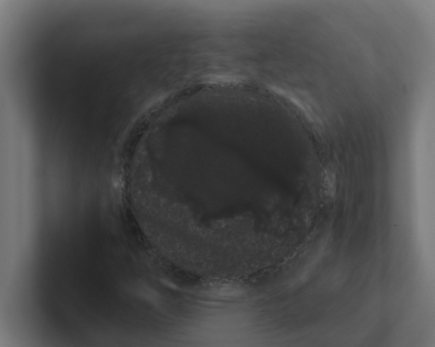 X0000102291254200808221350