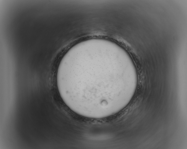 X0000102291255200808221350