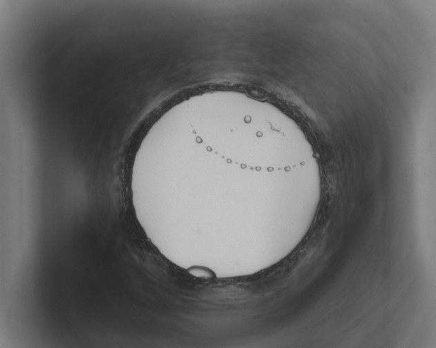 X0000102291256200808221350