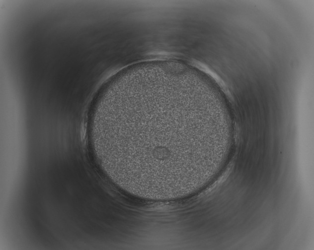 X0000102291259200808221350