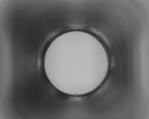 X0000102291261200808221350