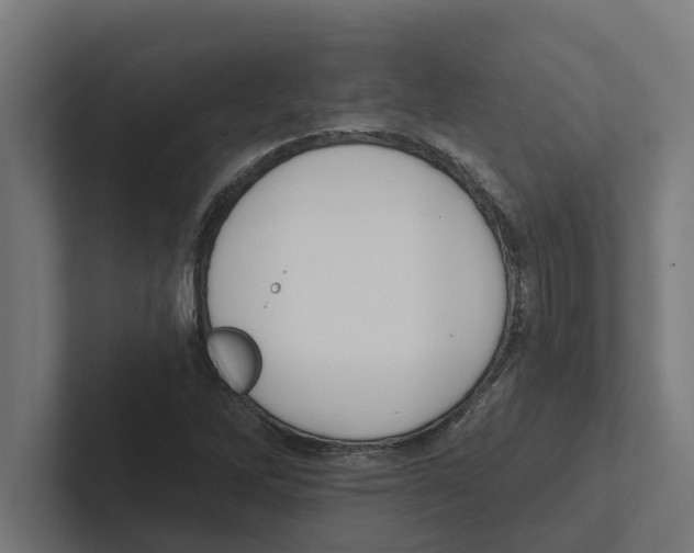 X0000102291262200808221350