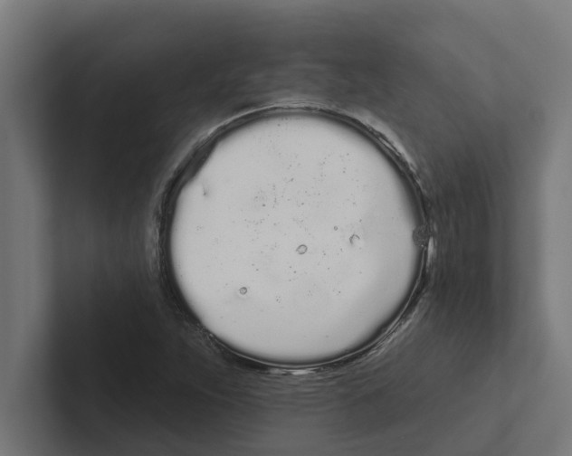 X0000102291263200808221350