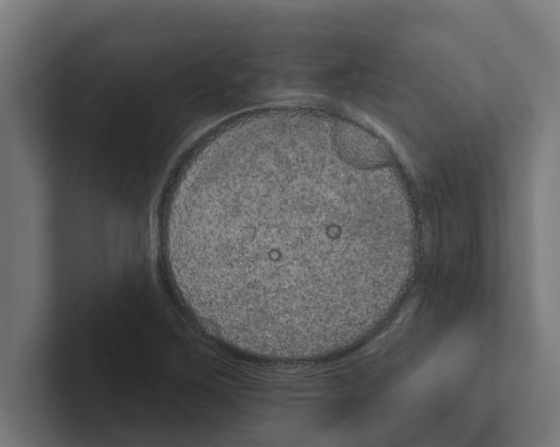 X0000102291267200808221350