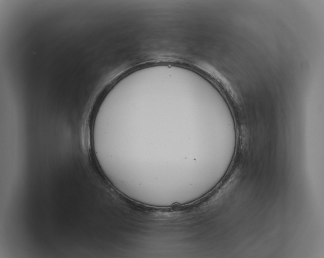 X0000102291269200808221349