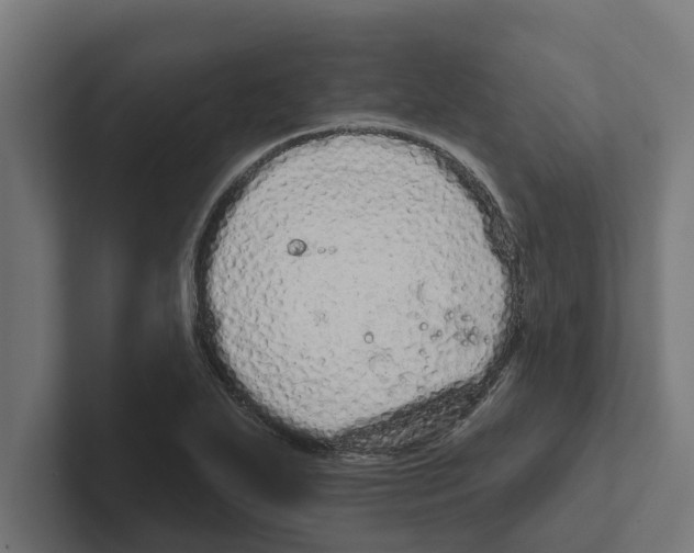 X0000102291271200808221349