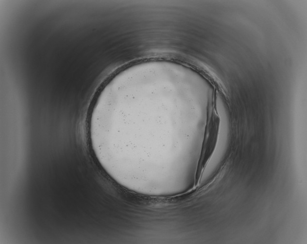 X0000102291275200808221349