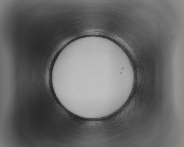 X0000102291277200808221349